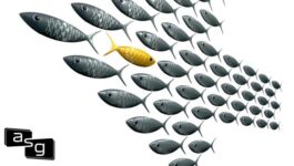Illustration of numerous grey fish swimming in a uniform direction with a single golden fish swimming in the opposite direction. The image symbolizes individuality and non-conformity, reflecting the concept of daring to be different in a world that often encourages uniformity.